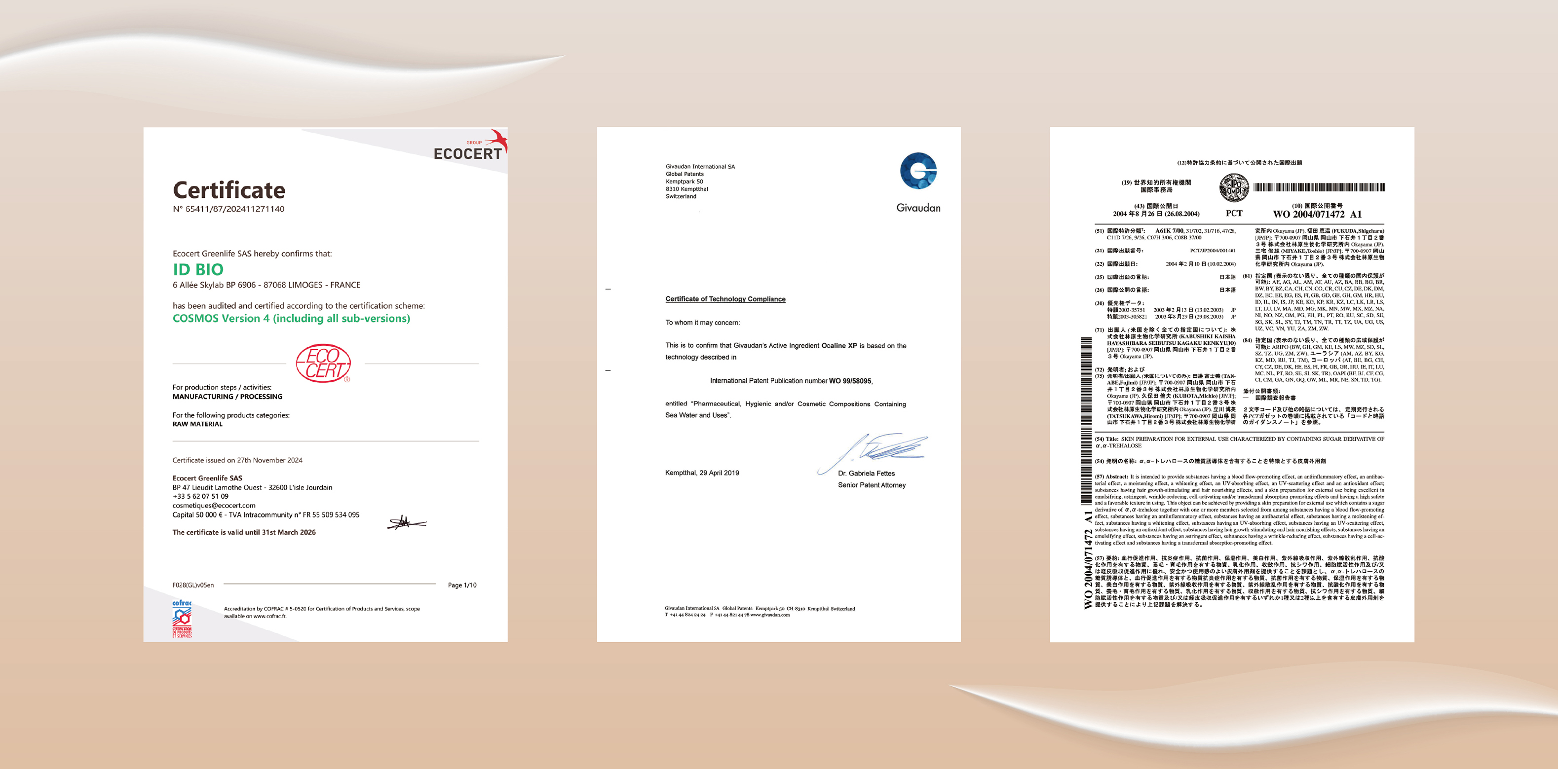 20250829更新＿發光發熱文宣_工作區域 1 複本